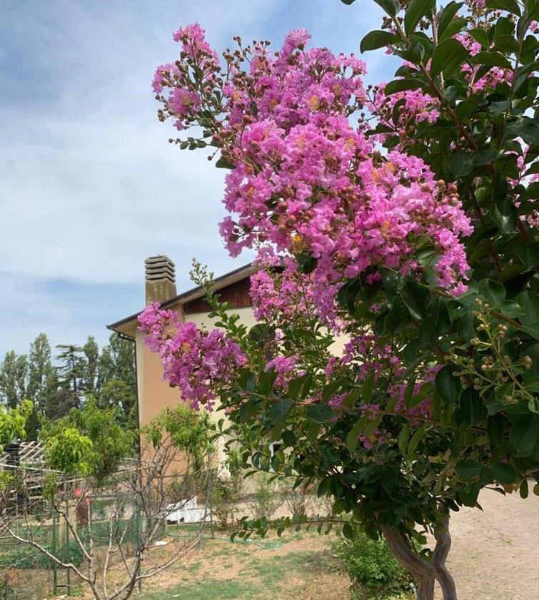 Agriturismo Monteroseo Bedizzole Exterior photo